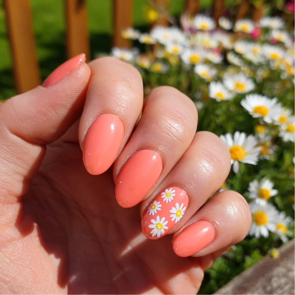Summer Daisies